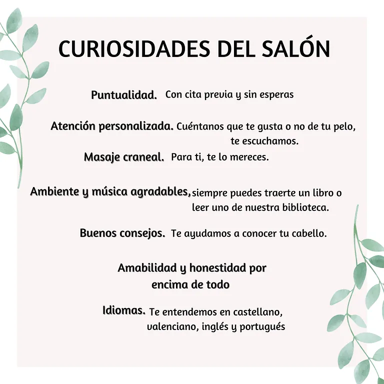 imagen curiosidades del salón